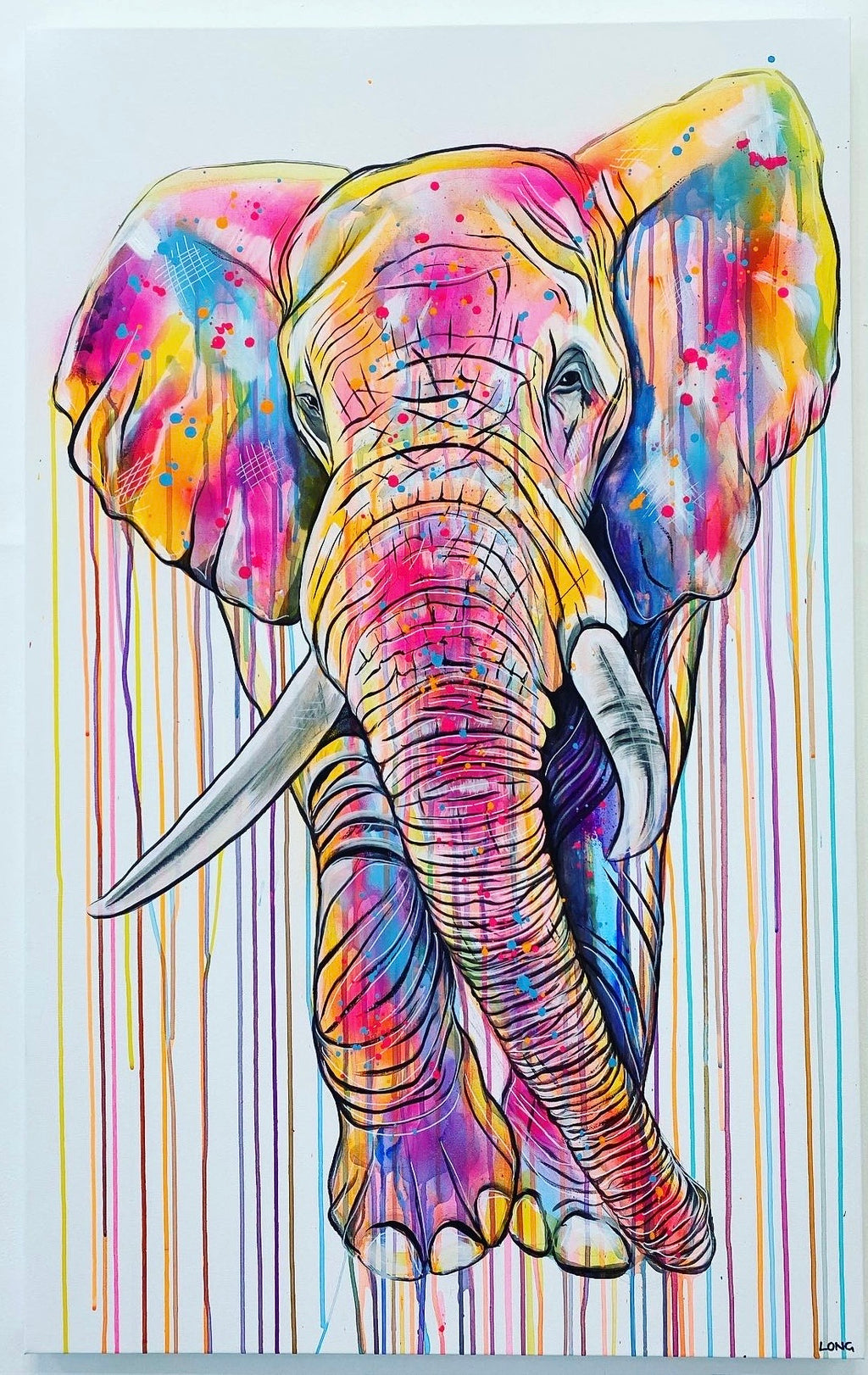 Elephant colourful art spray paint
