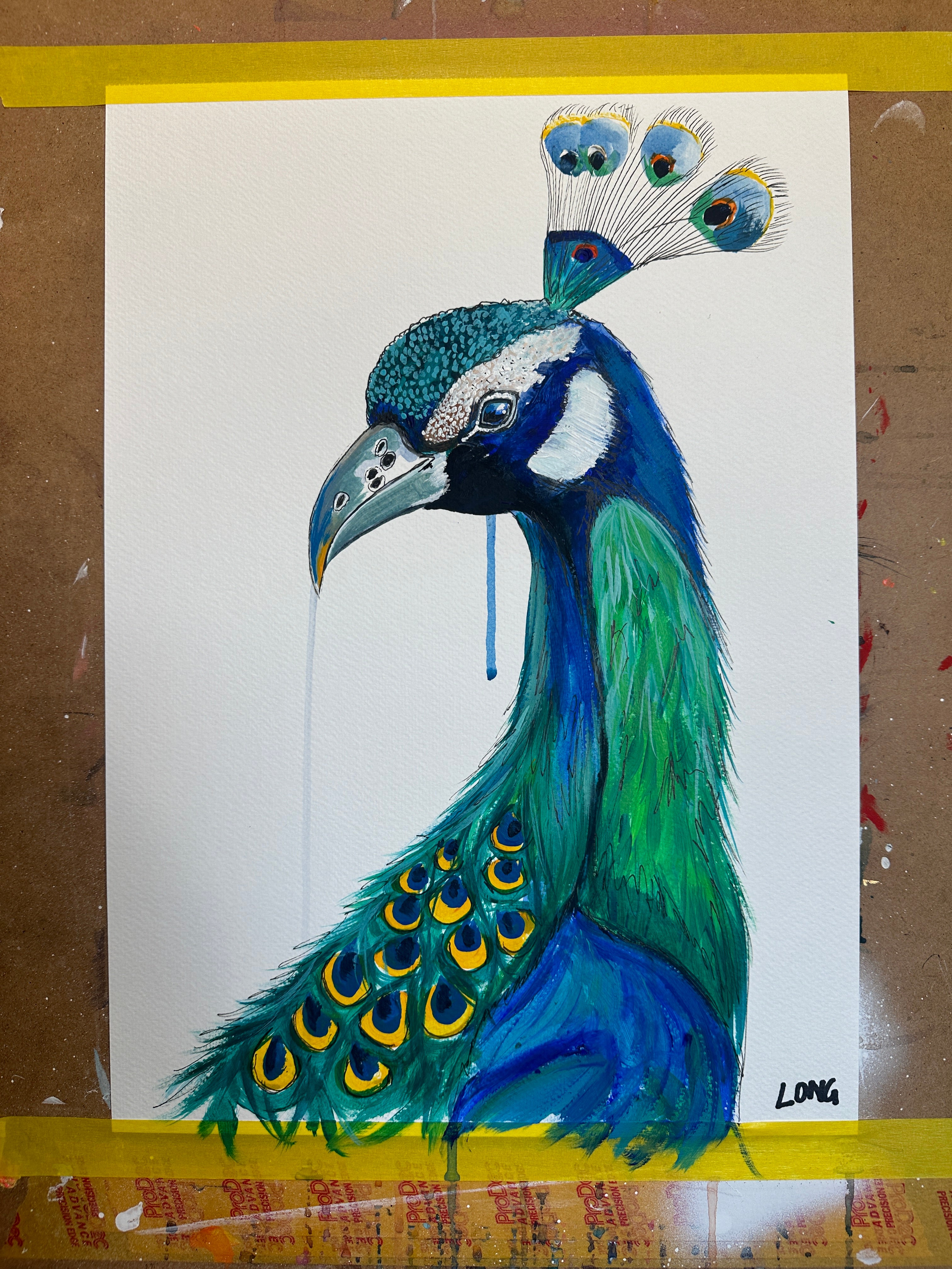 PEACOCK ORIGINAL SKETCH