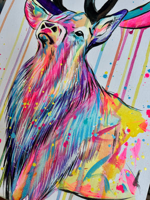 NEON STAG ORIGINAL