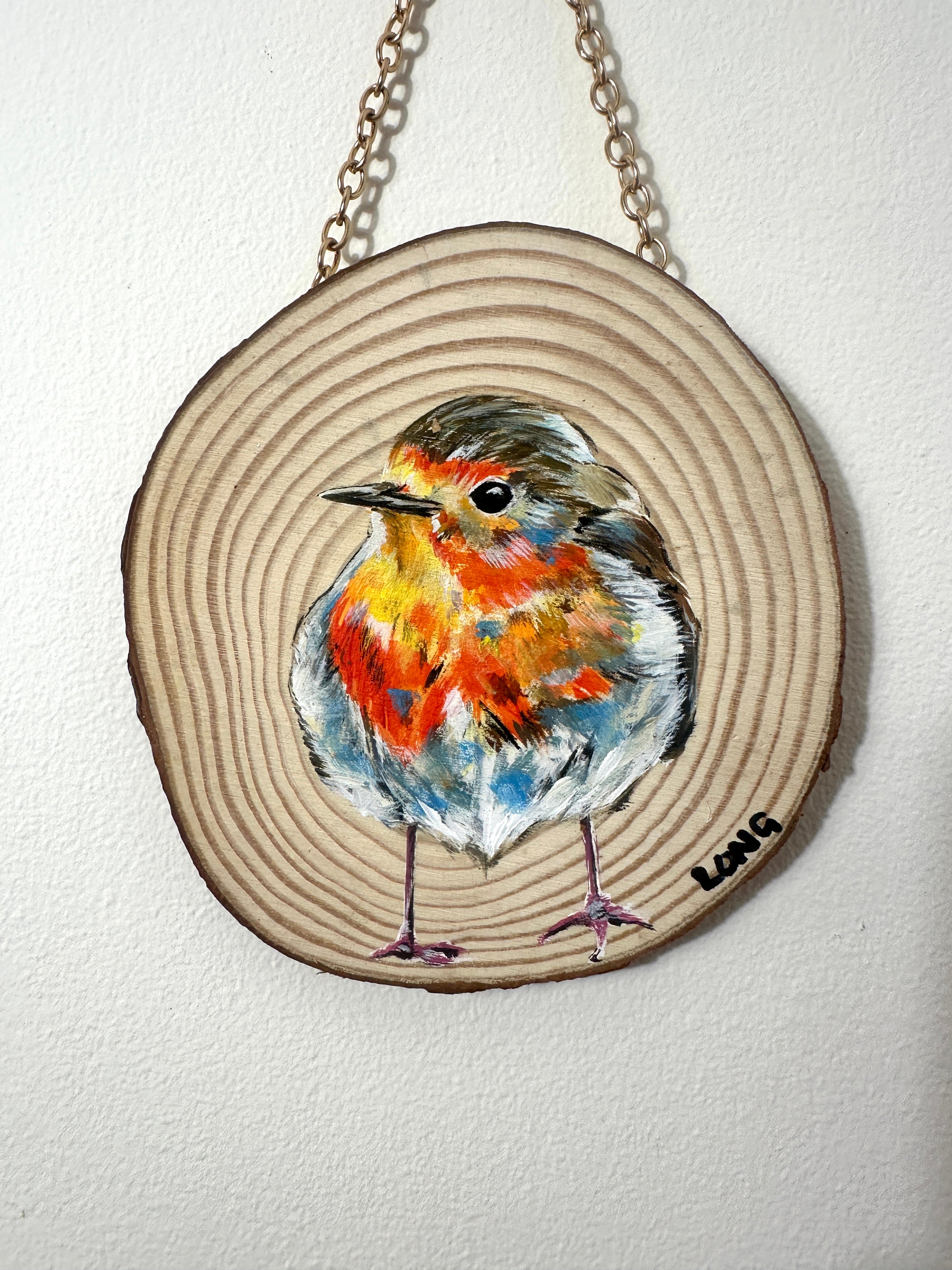 ROBIN WOOD SLICE