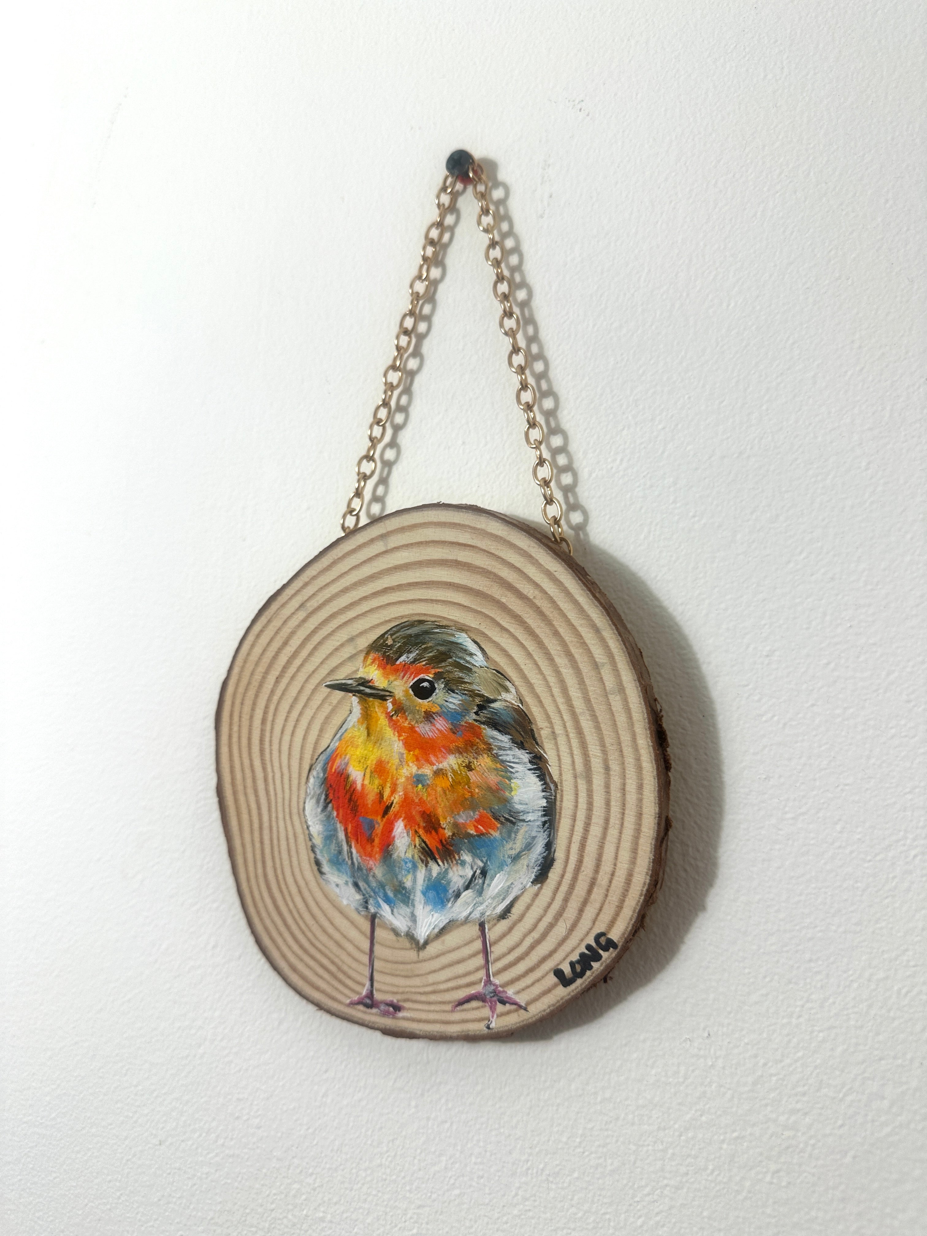 ROBIN WOOD SLICE