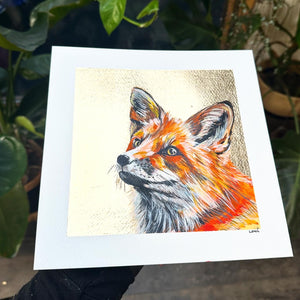 RED FOX ORIGINAL