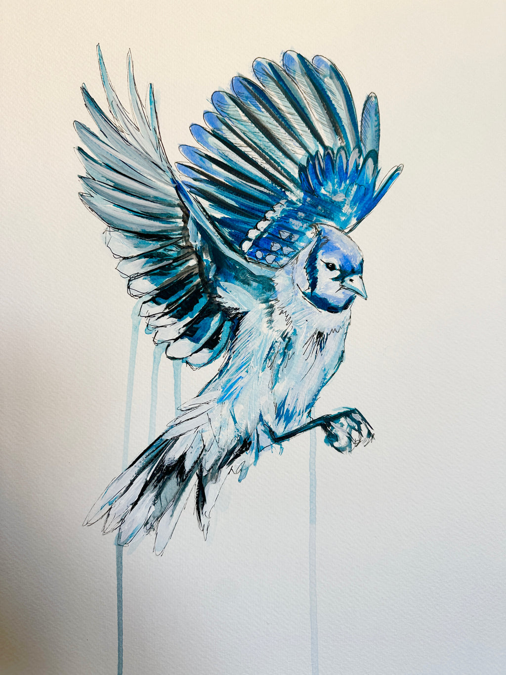 BLUE JAY ORIGINAL SKETCH