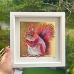 PINK SQUIRREL ORIGINAL