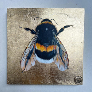 GOLD LEAF BEE 5/10