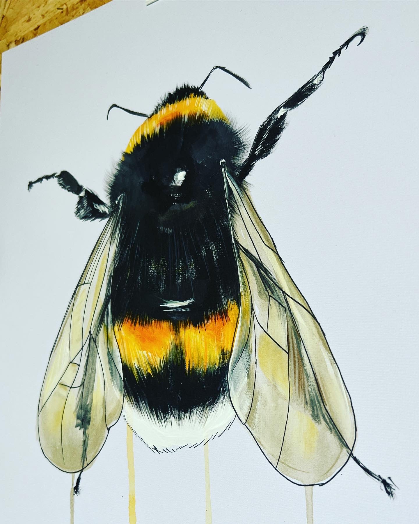 BUMBLEBEE ORIGINAL SKETCH