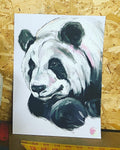 PANDA ORIGINAL SKETCH