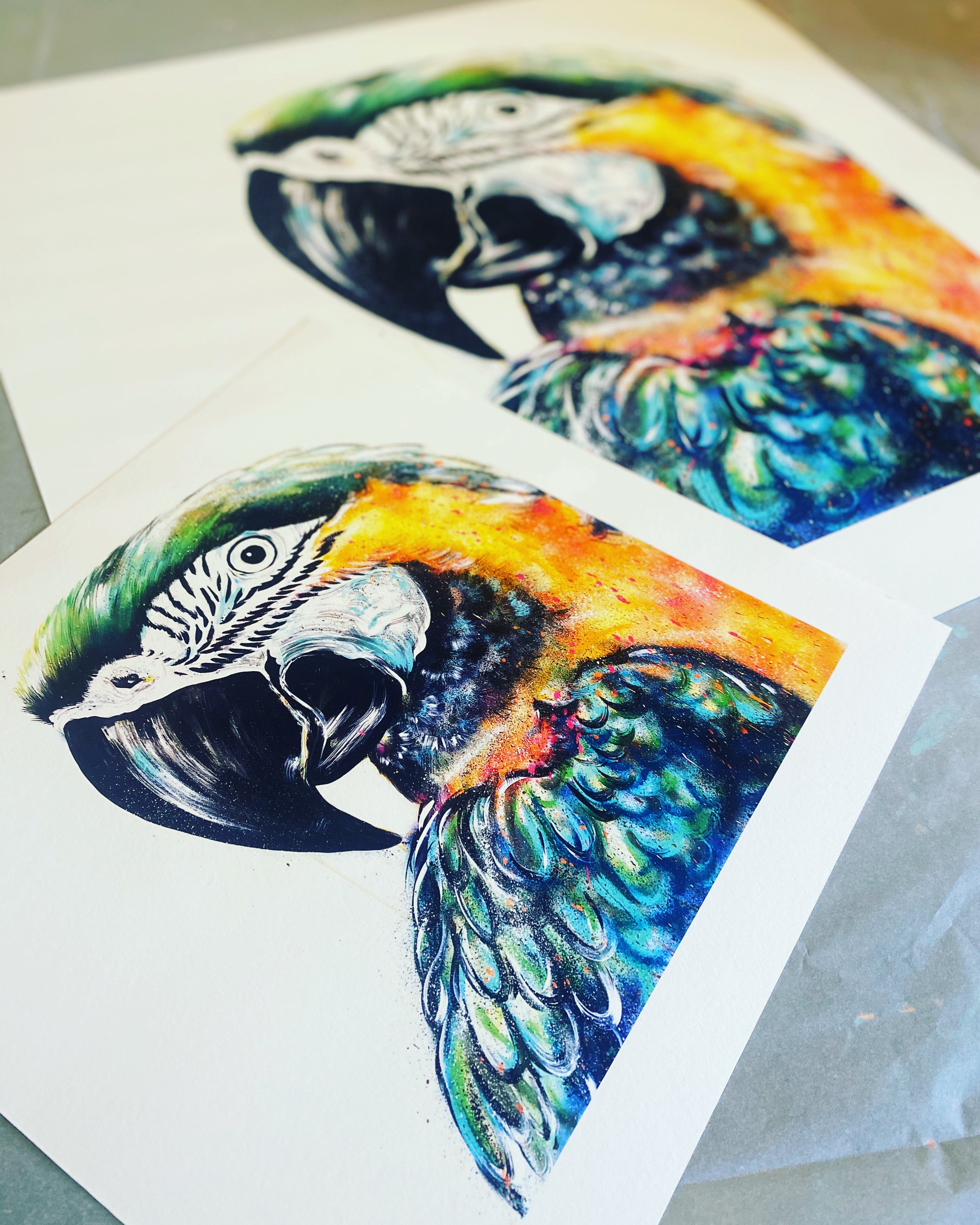 Limited Edition PRINT – PATRICIA THE PARROT