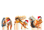 SQUIRRELS CHRISTMAS GREETINGS CARD PACK