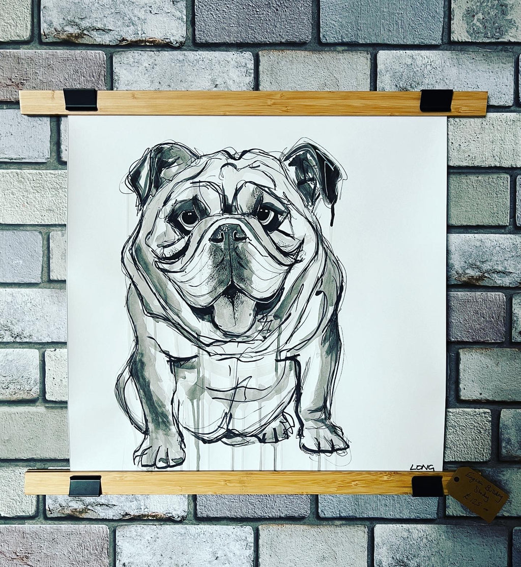 BULLDOG STUDY