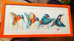 Limited Edition PRINT – IN FLIGHT (Kingfisher)