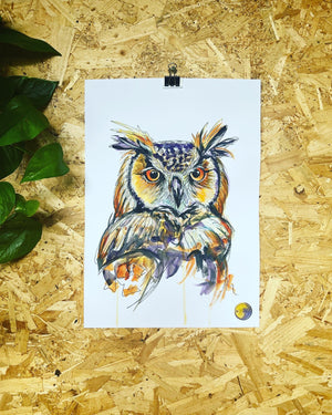 OWL ORIGINAL SKETCH