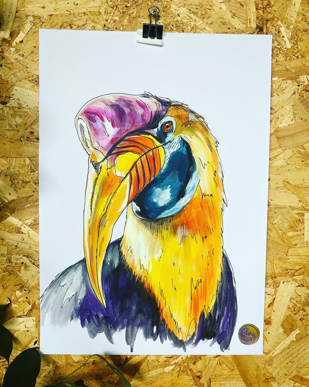 RED KNOBBED HORNBILL ORIGINAL SKETCH