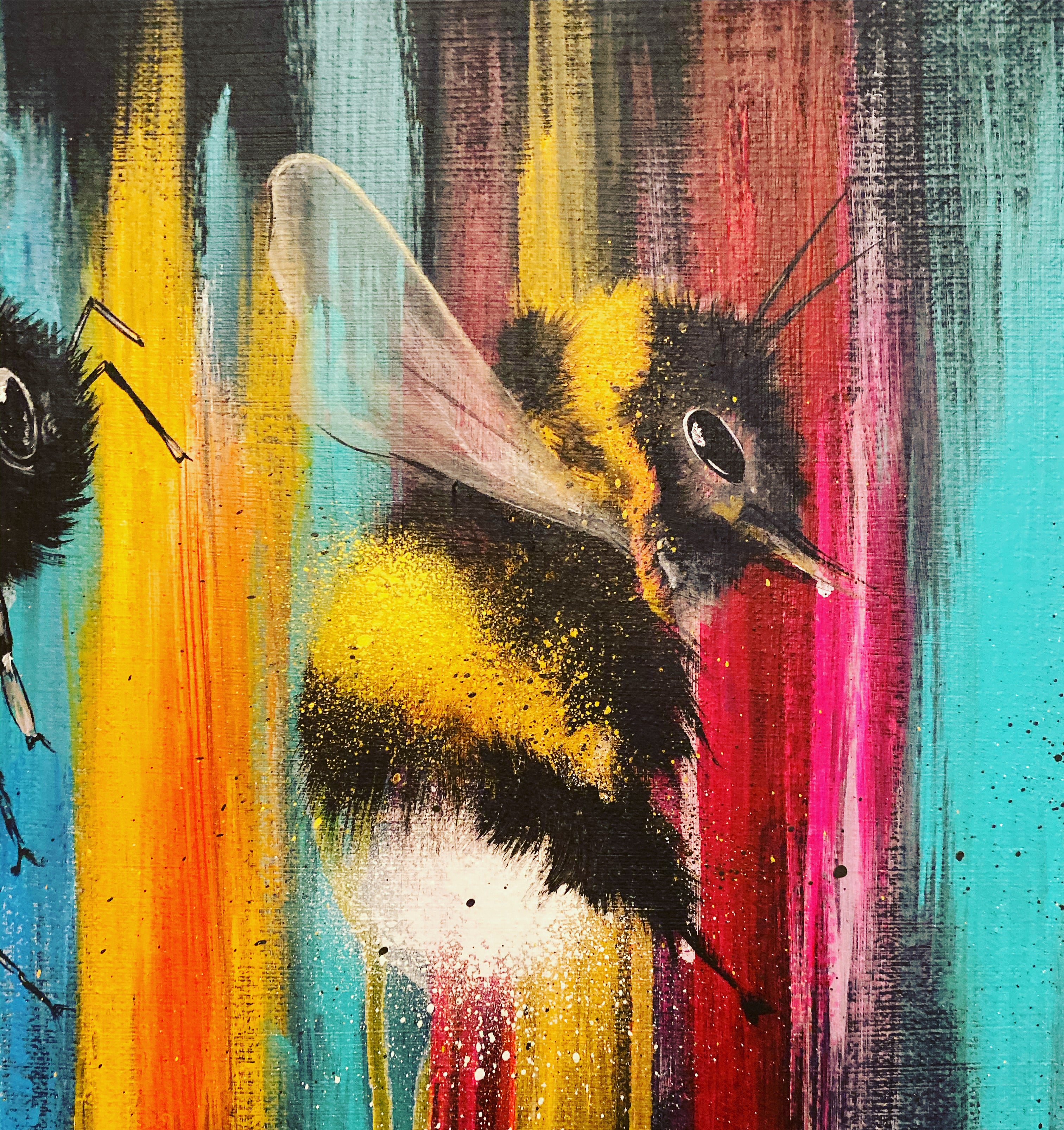 dying out in a world of colour sophie long art bees 