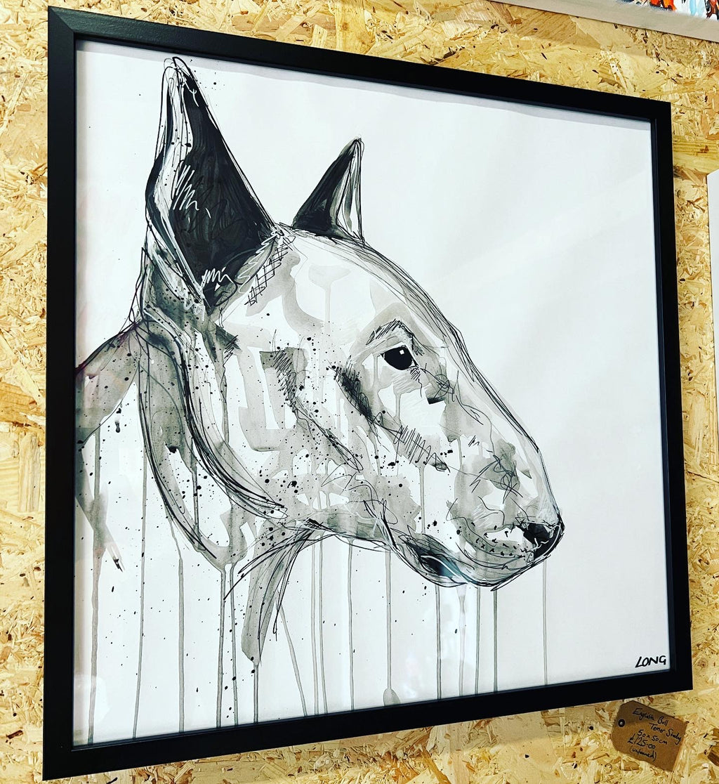 ENGLISH BULL TERRIER STUDY
