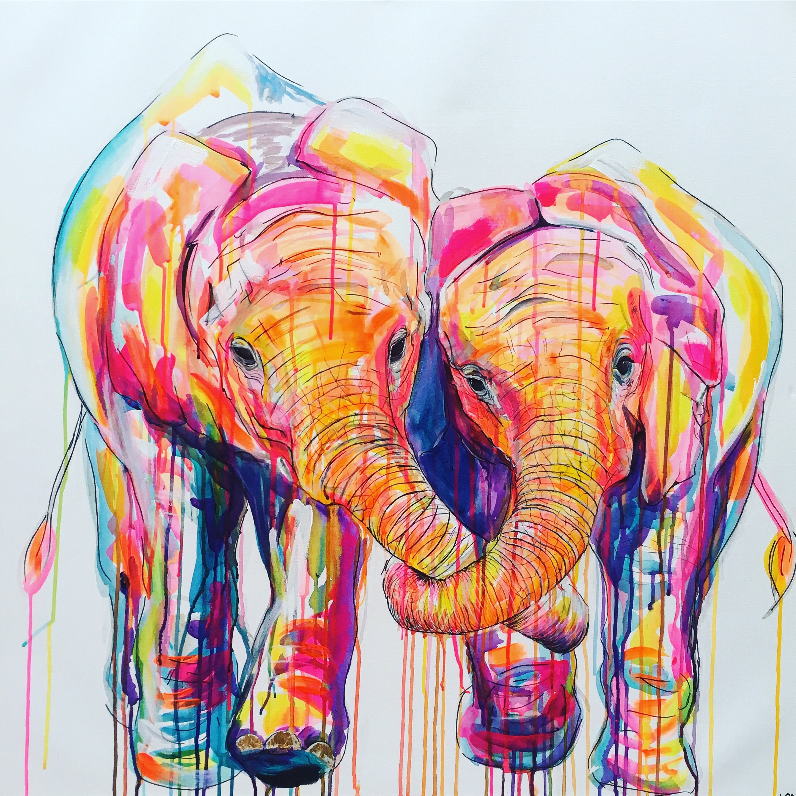 elephant trunks in love sophie long