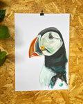 PUFFIN ORIGINAL SKETCH