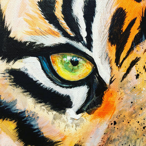 EYES OF THE TIGER