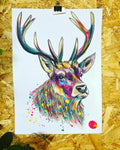 STAG ORIGINAL SKETCH