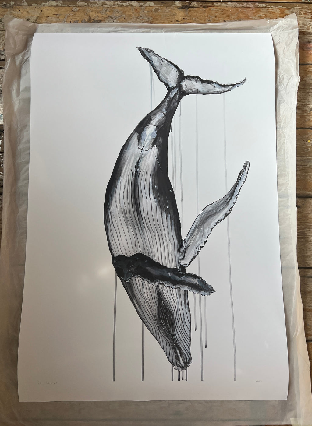 DIVE IN Discounted Print