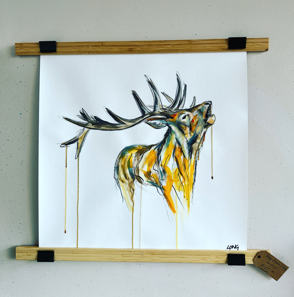 STAG STUDY 2