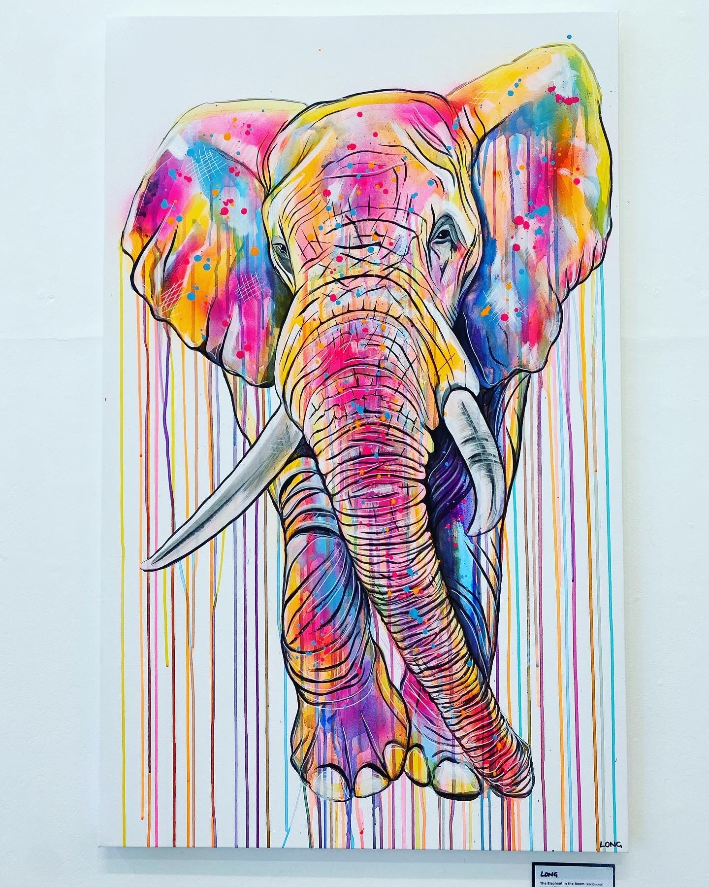 Colourful elephant art Sophie Long 