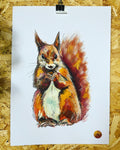 SQUIRREL ORIGINAL SKETCH