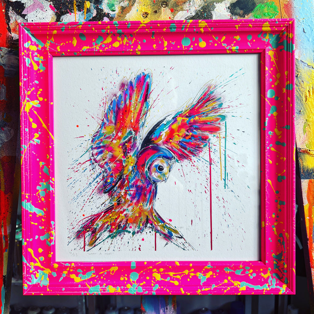 WHAT A HOOT Framed Print