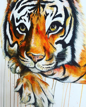 SUMATRAN TIGER ORIGINAL