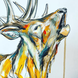 STAG STUDY 2