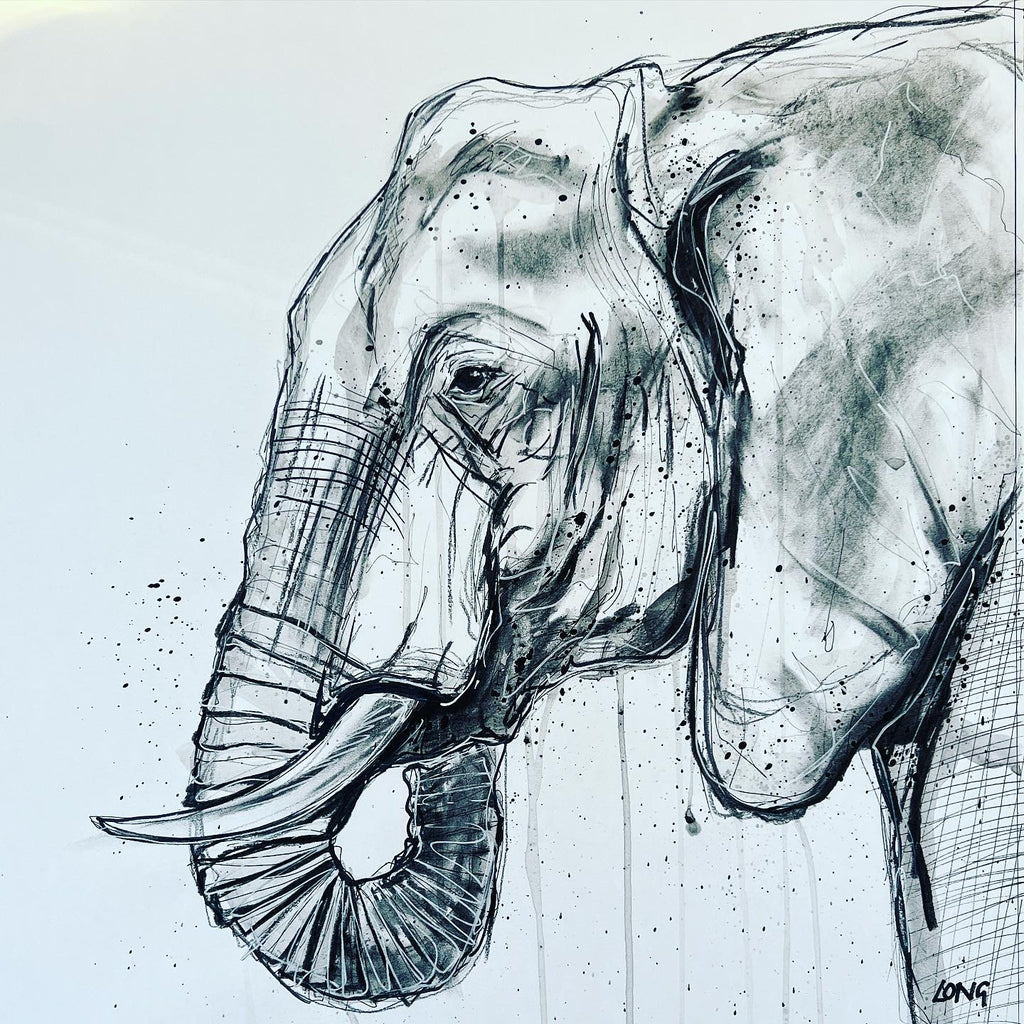ELEPHANT/CHARCOAL STUDY