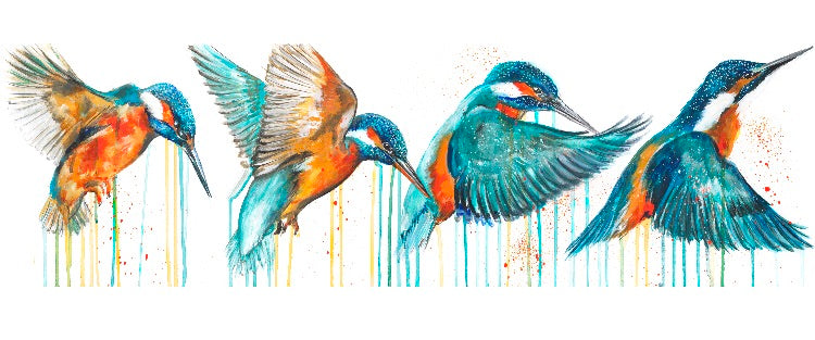 LARGE Limited Edition PRINT – IN FLIGHT (Kingfisher)