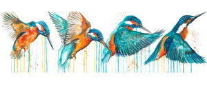 LARGE Limited Edition PRINT – IN FLIGHT (Kingfisher)