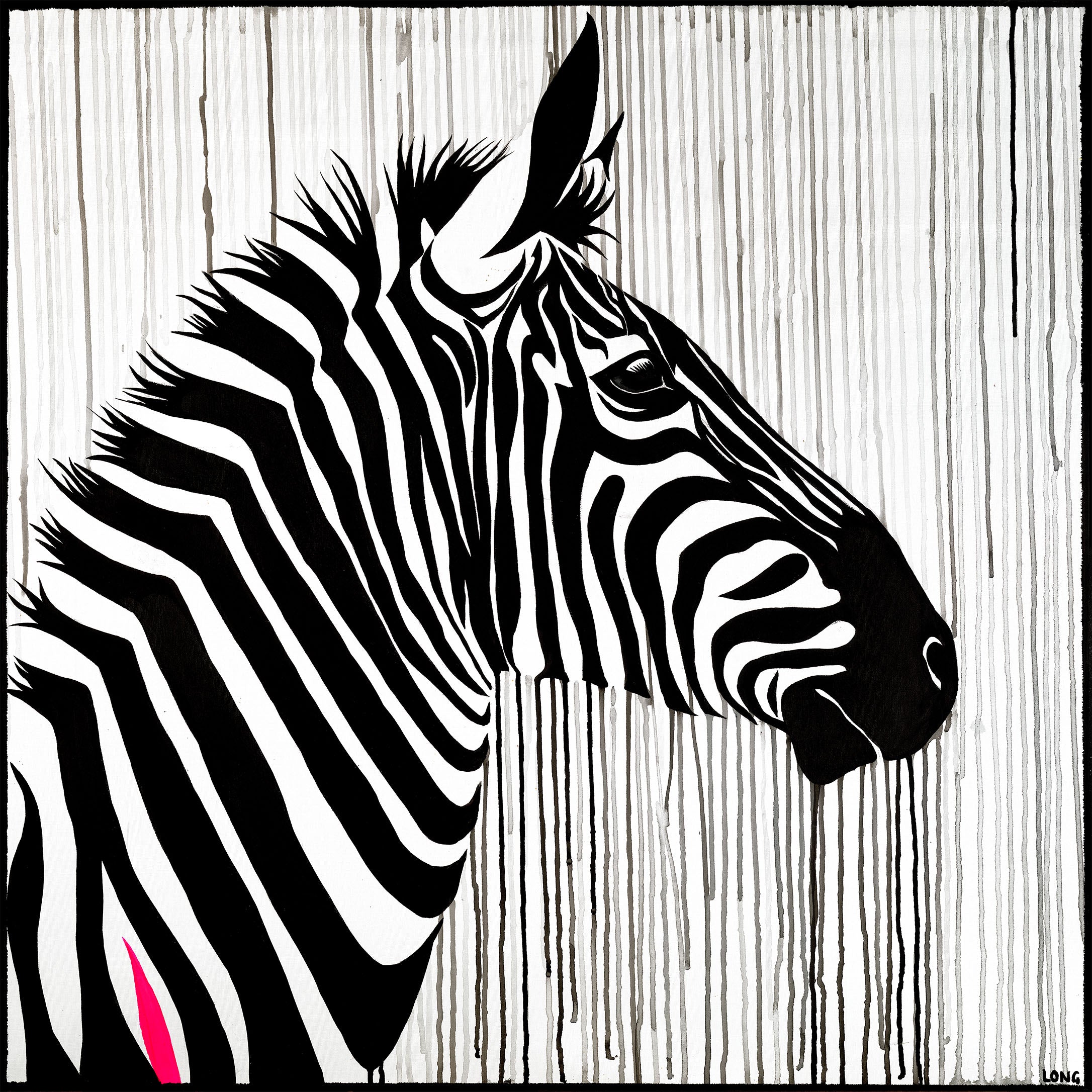 zebra striped horse sophie long